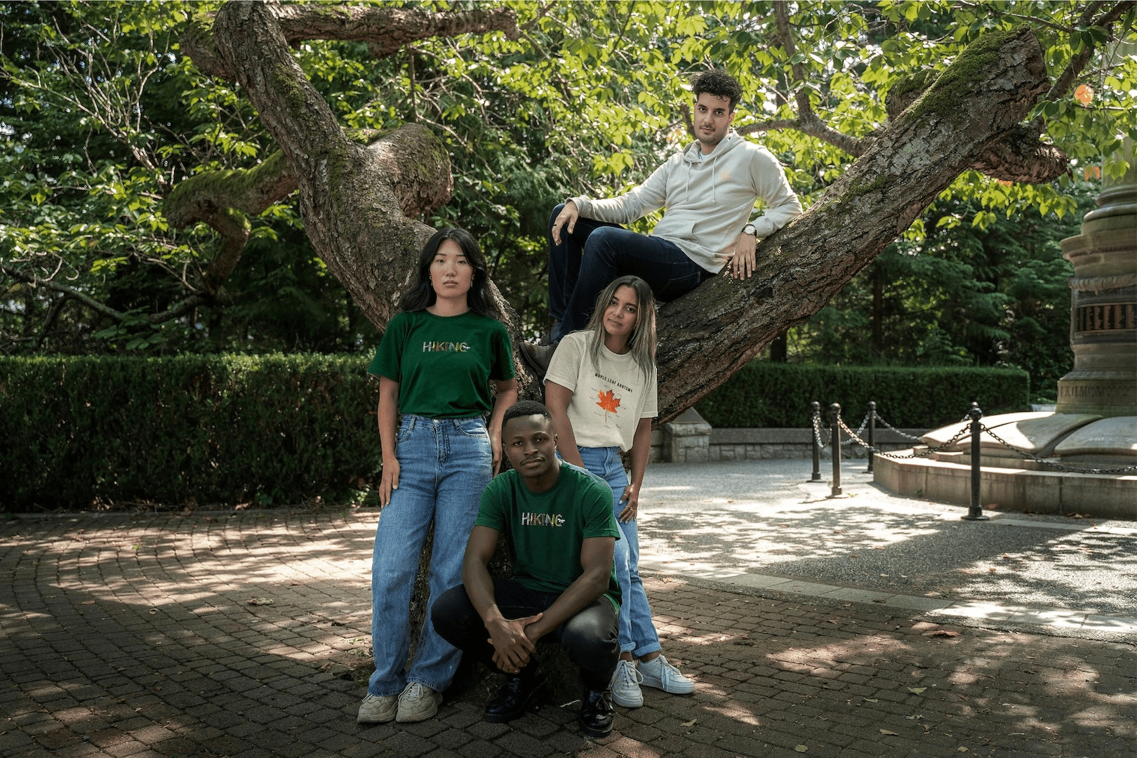 The Canvas Collection - VELU